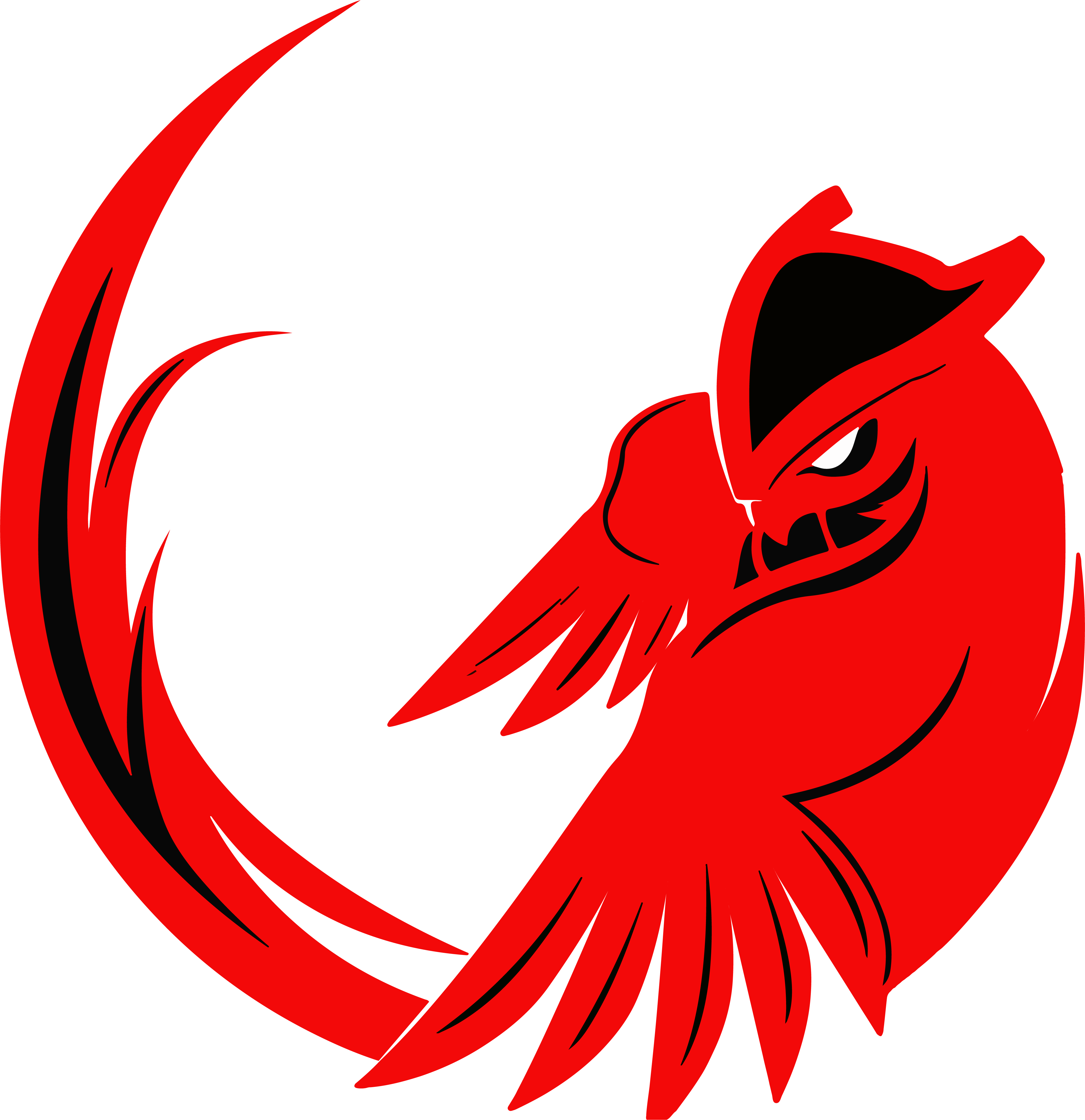 Burung Hantu